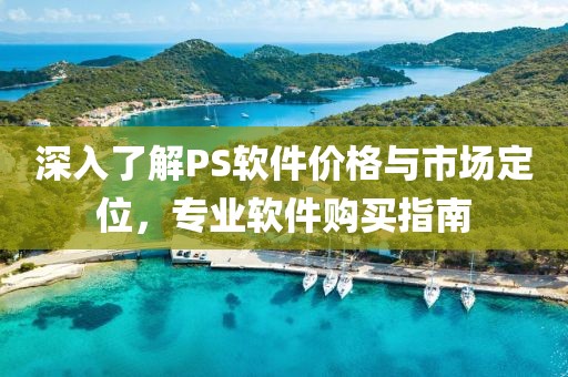 深入了解PS软件价格与市场定位，专业软件购买指南