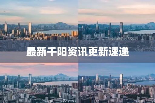 最新千阳资讯更新速递