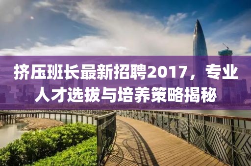 挤压班长最新招聘2017，专业人才选拔与培养策略揭秘