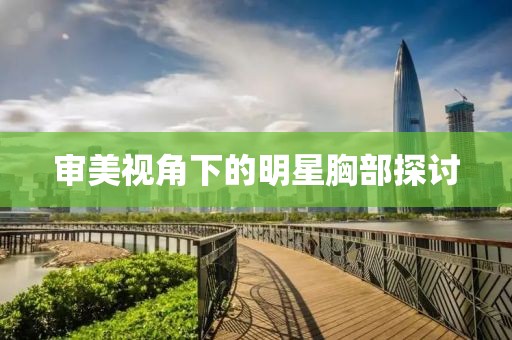 审美视角下的明星胸部探讨