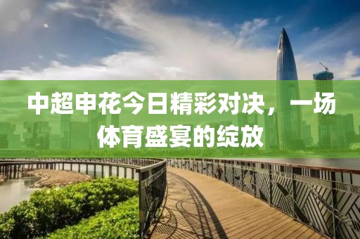 中超申花今日精彩对决，一场体育盛宴的绽放
