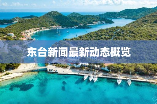 东台新闻最新动态概览