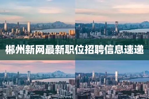 郴州新网最新职位招聘信息速递