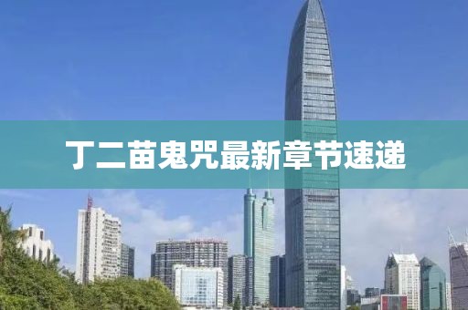 丁二苗鬼咒最新章节速递