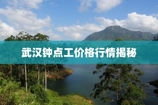 武汉钟点工价格行情揭秘