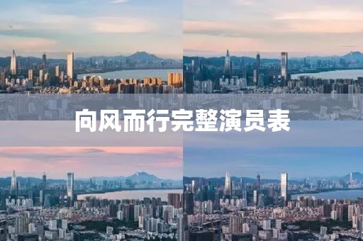 向风而行完整演员表