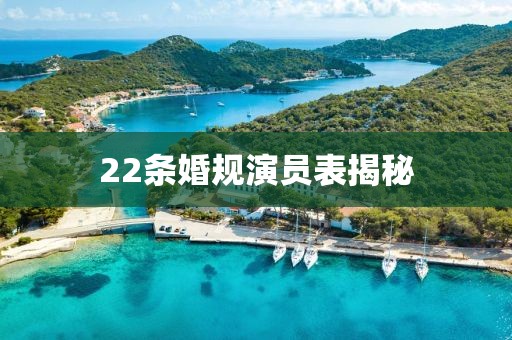 22条婚规演员表揭秘