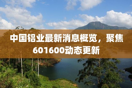 中国铝业最新消息概览，聚焦601600动态更新