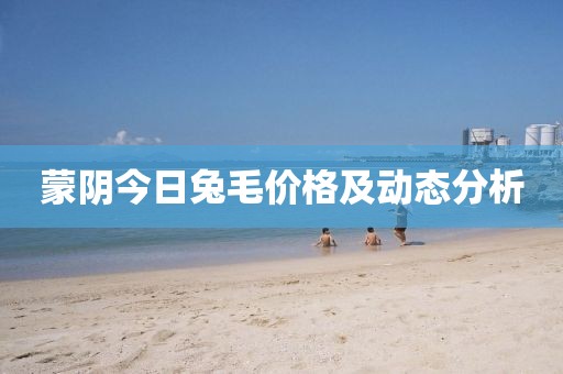 蒙阴今日兔毛价格及动态分析
