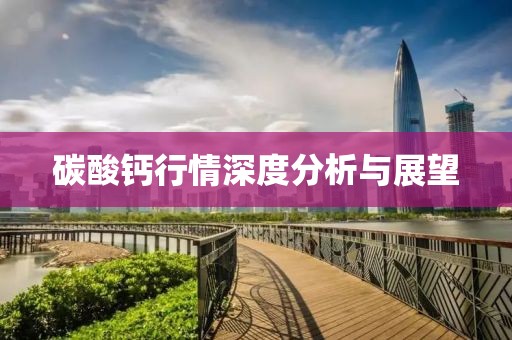 碳酸钙行情深度分析与展望