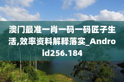 澳门最准一肖一码一码匠子生活,效率资料解释落实_Android256.184