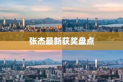 张杰最新获奖盘点