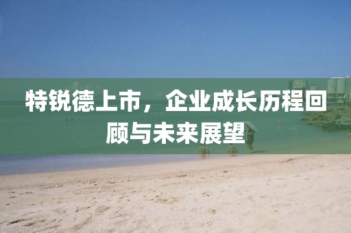 特锐德上市，企业成长历程回顾与未来展望