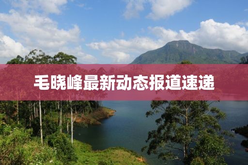 毛晓峰最新动态报道速递
