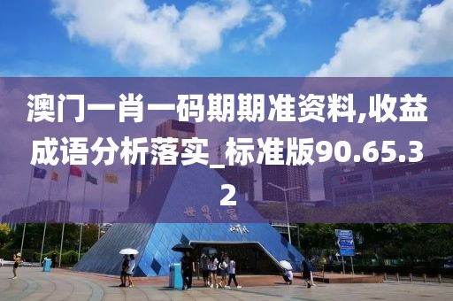 澳门一肖一码期期准资料,收益成语分析落实_标准版90.65.32