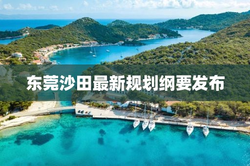 东莞沙田最新规划纲要发布