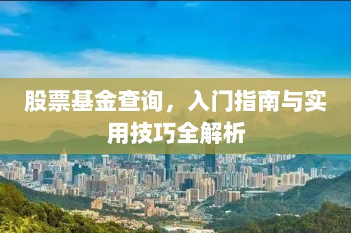 股票基金查询，入门指南与实用技巧全解析