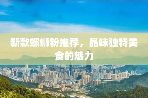 新款螺蛳粉推荐，品味独特美食的魅力