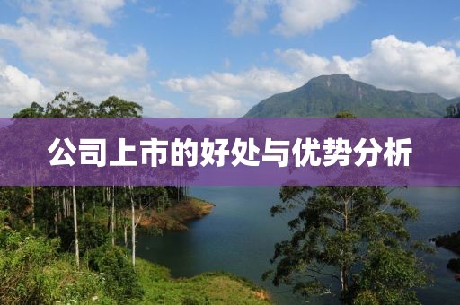 公司上市的好处与优势分析