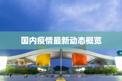 国内疫情最新动态概览