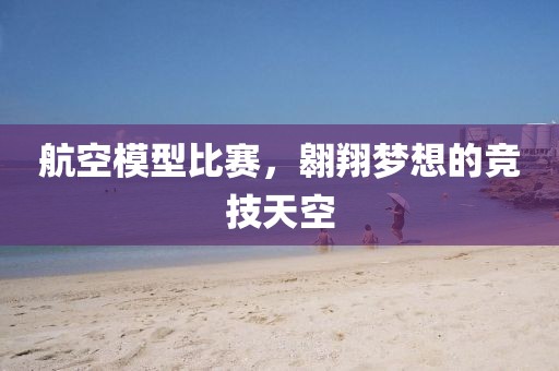 航空模型比赛，翱翔梦想的竞技天空