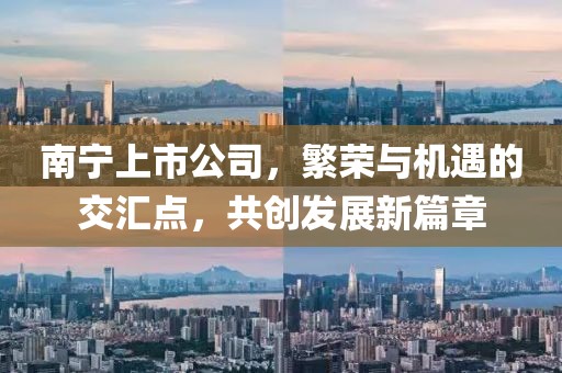 南宁上市公司，繁荣与机遇的交汇点，共创发展新篇章