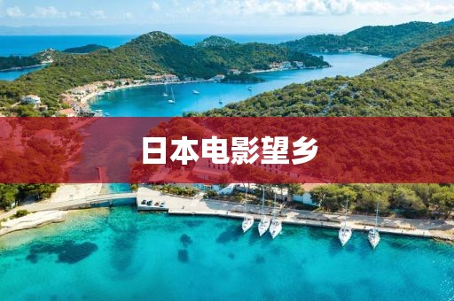 日本电影望乡