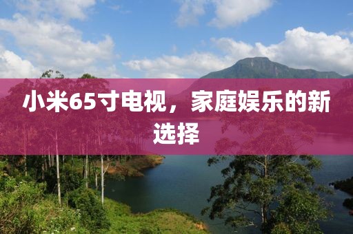 小米65寸电视，家庭娱乐的新选择