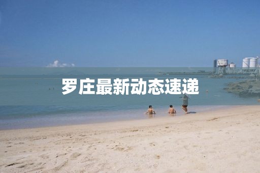 罗庄最新动态速递