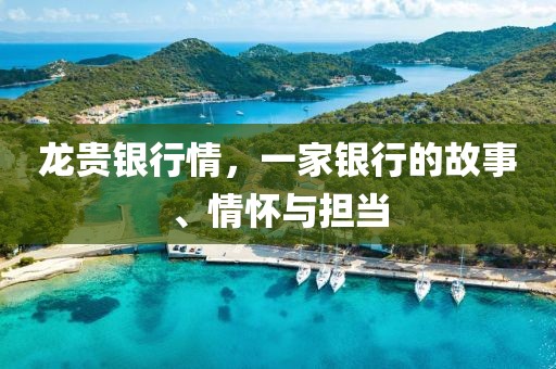 龙贵银行情，一家银行的故事、情怀与担当