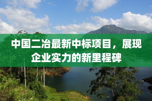 中国二冶最新中标项目，展现企业实力的新里程碑