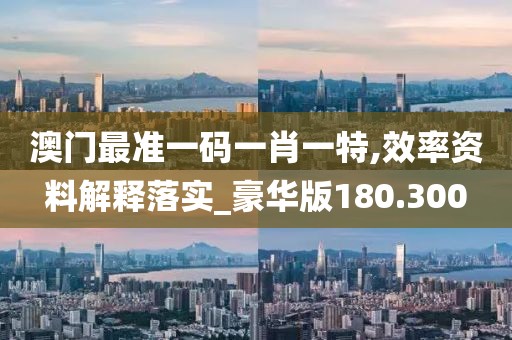 澳门最准一码一肖一特,效率资料解释落实_豪华版180.300