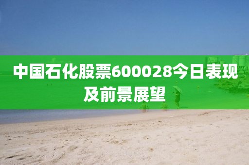 中国石化股票600028今日表现及前景展望