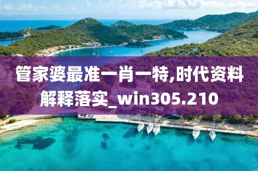 管家婆最准一肖一特,时代资料解释落实_win305.210