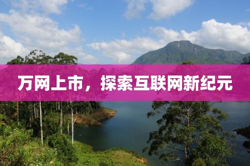 万网上市，探索互联网新纪元