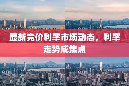 最新竞价利率市场动态，利率走势成焦点