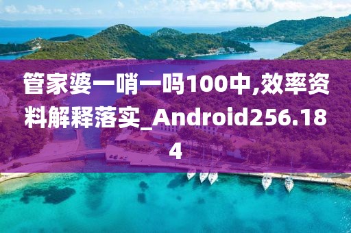 管家婆一哨一吗100中,效率资料解释落实_Android256.184