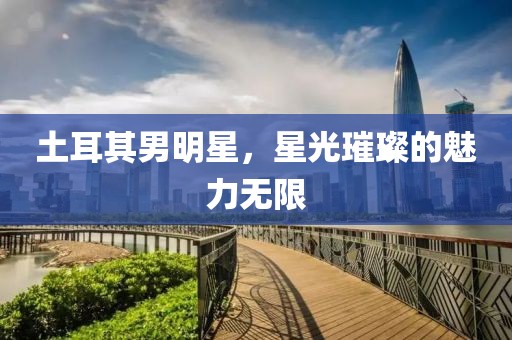 土耳其男明星，星光璀璨的魅力无限