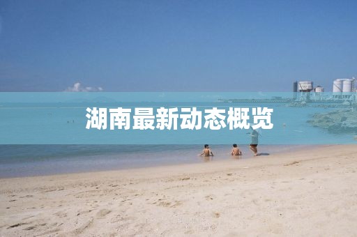 堇年 第2页