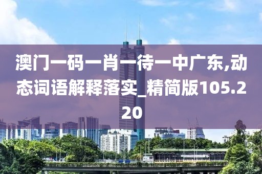 澳门一码一肖一待一中广东,动态词语解释落实_精简版105.220