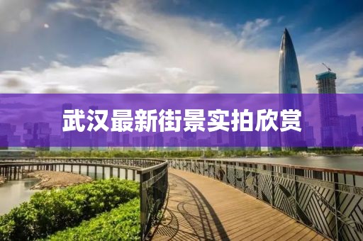 宁愿孤独不要虚情 第2页