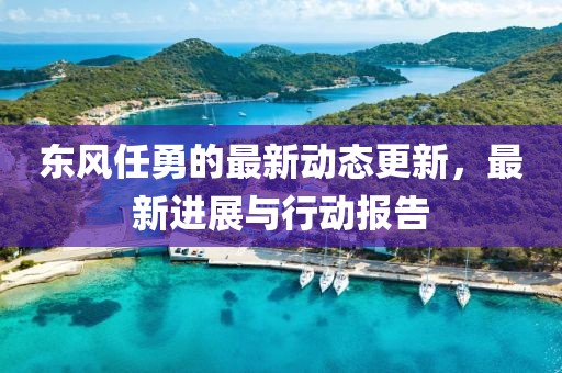 东风任勇的最新动态更新，最新进展与行动报告