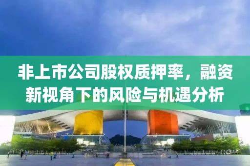 非上市公司股权质押率，融资新视角下的风险与机遇分析