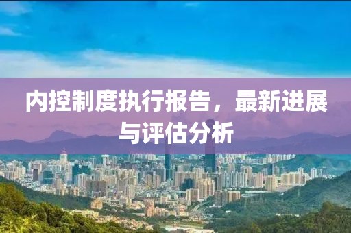 内控制度执行报告，最新进展与评估分析
