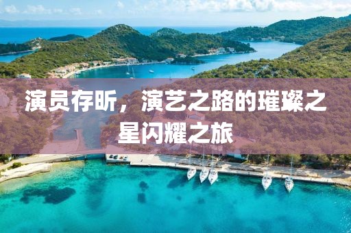 演员存昕，演艺之路的璀璨之星闪耀之旅
