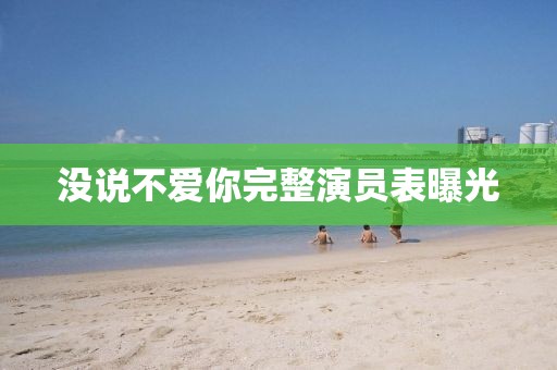 没说不爱你完整演员表曝光