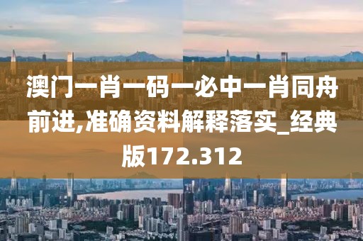 澳门一肖一码一必中一肖同舟前进,准确资料解释落实_经典版172.312