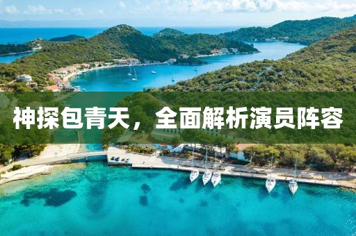 神探包青天，全面解析演员阵容