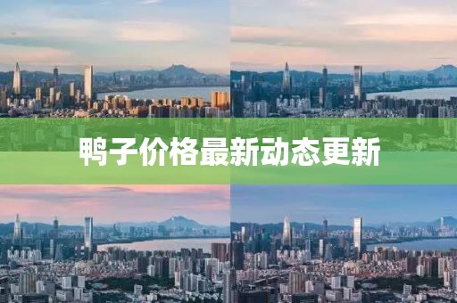 鸭子价格最新动态更新
