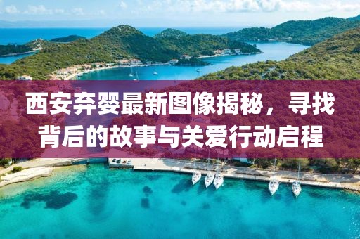 西安弃婴最新图像揭秘，寻找背后的故事与关爱行动启程